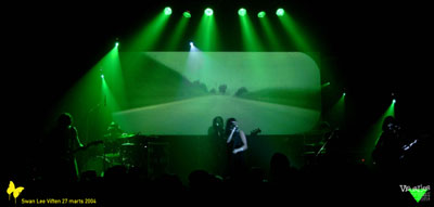 Swan Lee 2004